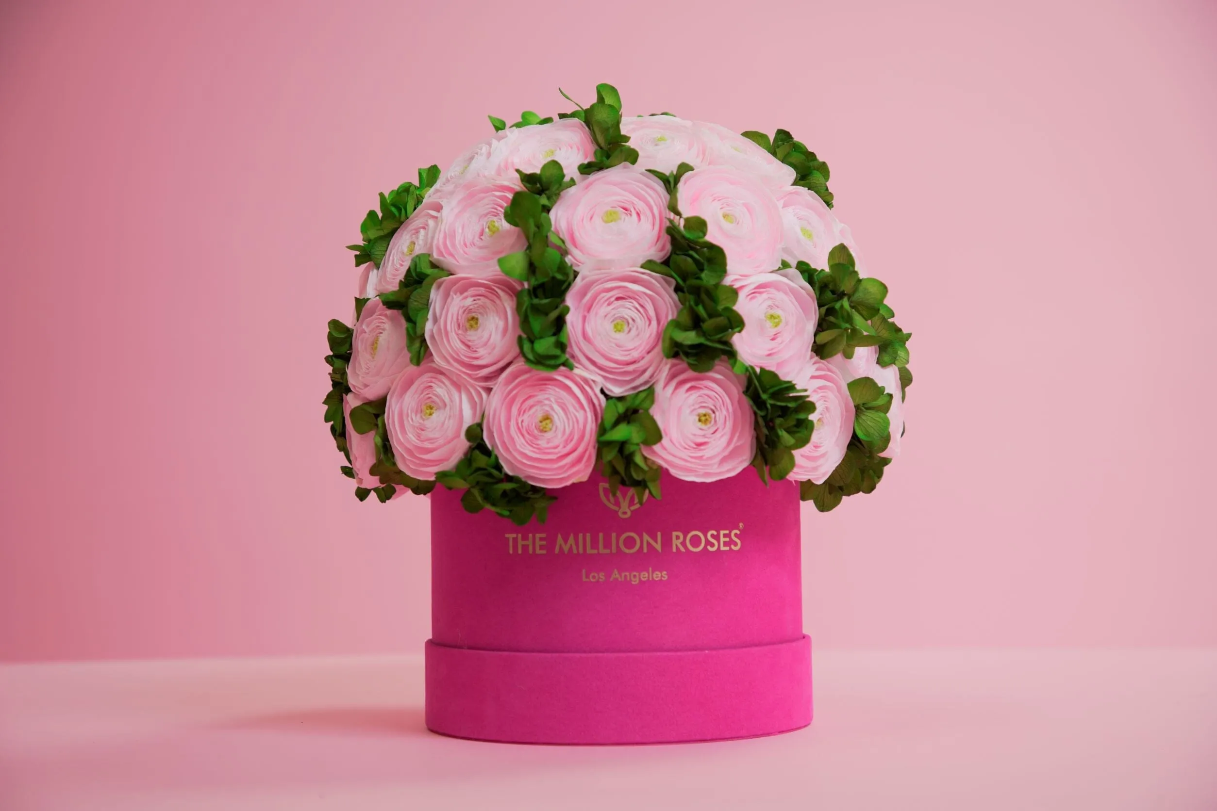 Classic Bordeaux Suede Box | Light Pink Persian Buttercups & Green Hydrangeas