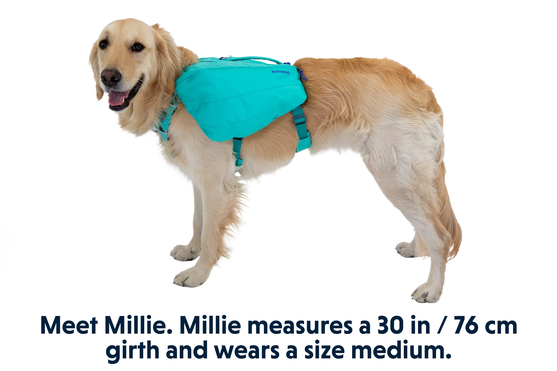 RP - Front Range™ Day Pack